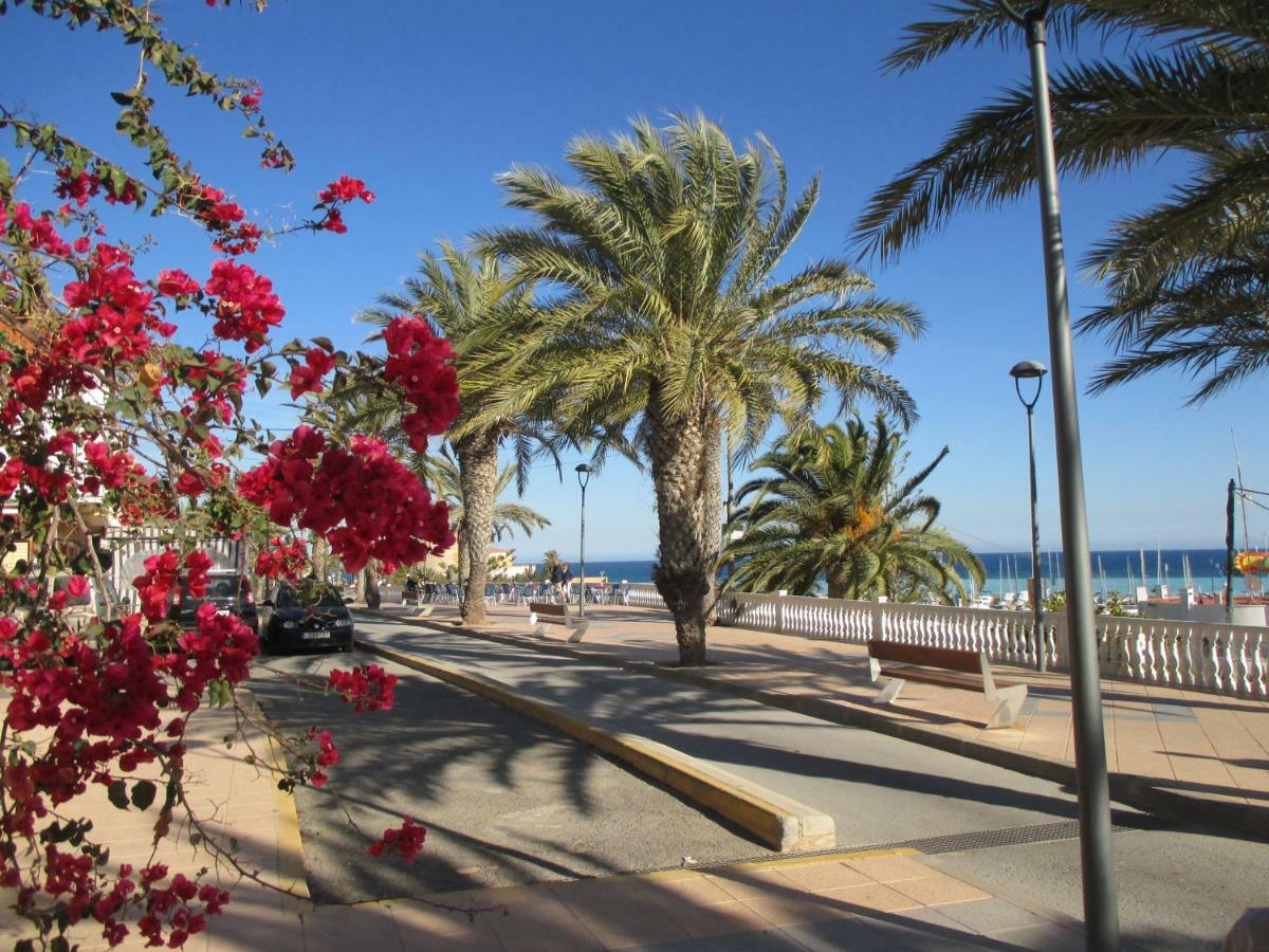 Playa Elisa Bay Daire Pilar de la Horadada Dış mekan fotoğraf